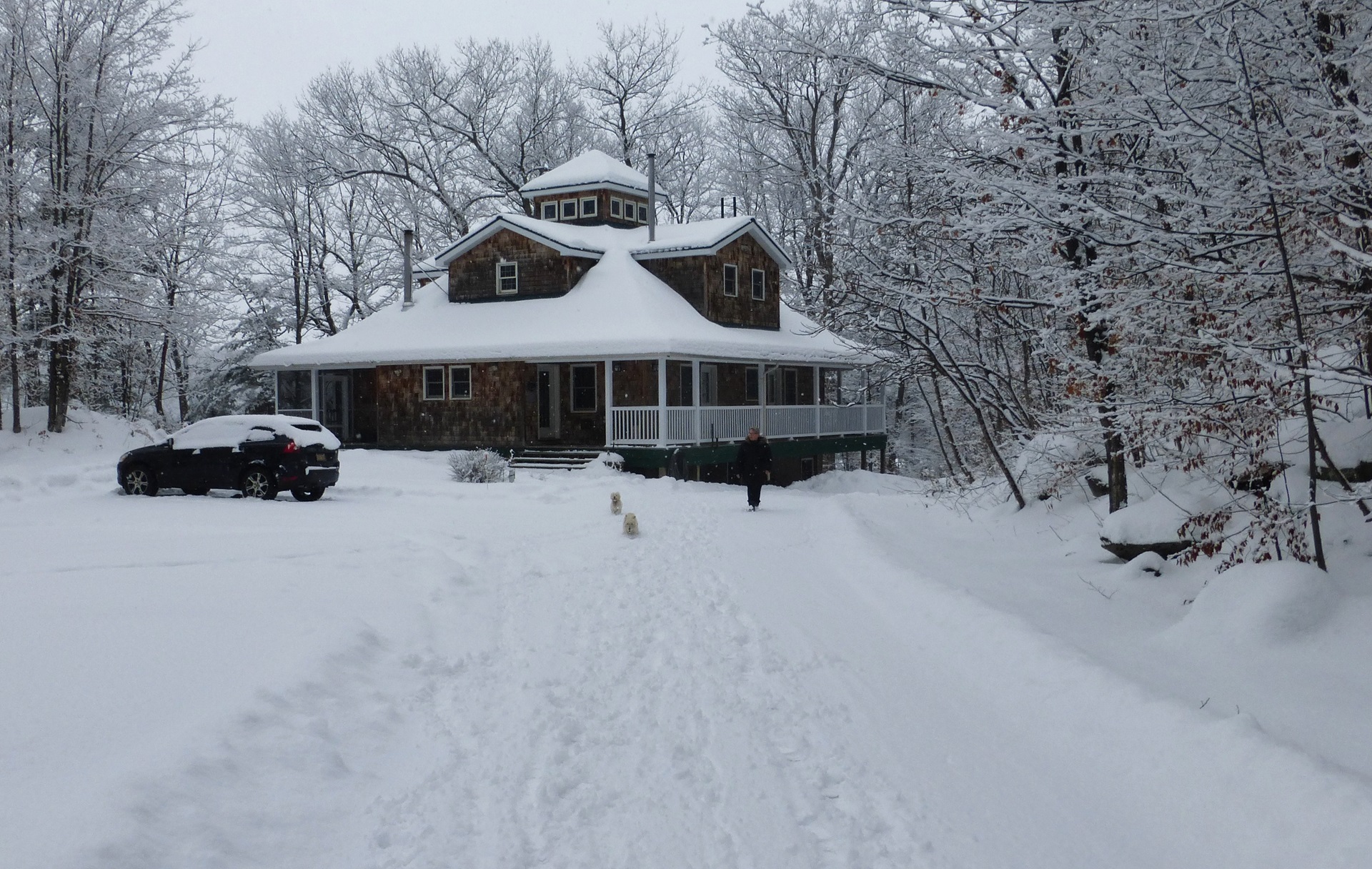 Garage Cottage House Plan Ideas for Practical & Stylish Living